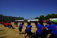 DSC00905