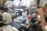 ③IMG_0981