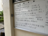IMG_8561