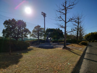 20251209_142604昼下がり