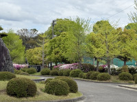 IMG_9604