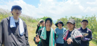 むくな圃場①