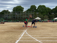 IMG_0946