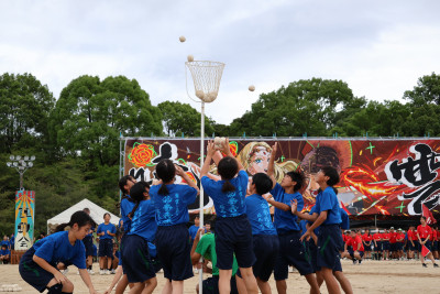 青玉入れ